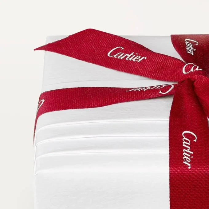 Cartier Libre Tuttitutti Pin