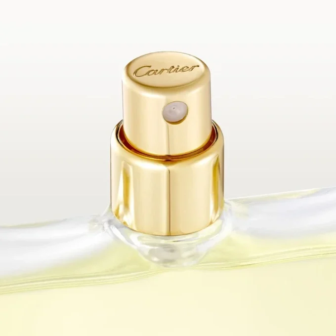 Eau De Toilette Refill Pack – Declaration | Cartier