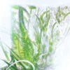 Geranium Perfume Refill – Rivieres De Cartier | Cartier Geranium Perfume Refill – Rivieres De Cartier | Cartier