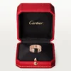 Love Unlimited Ring