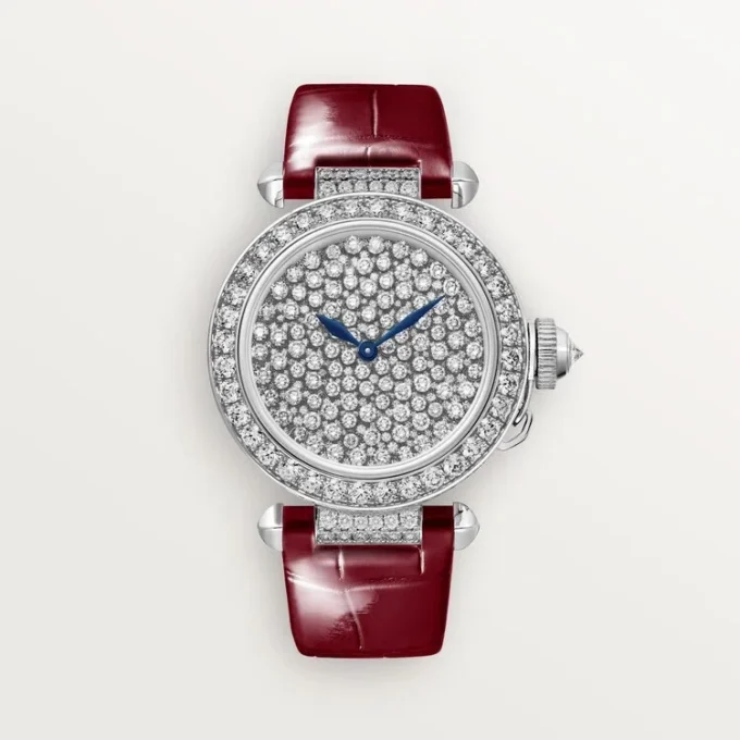 Pasha De Cartier Watch
