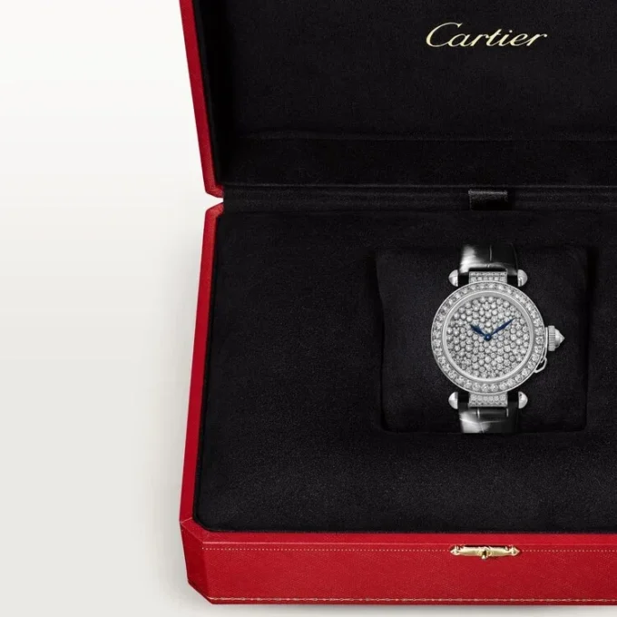 Pasha De Cartier Watch
